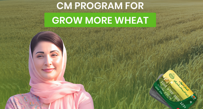 CM Punjab Wheat Support Program 2025 – Complete Guide (Apply Now for Rs. 5000 Per Acre)